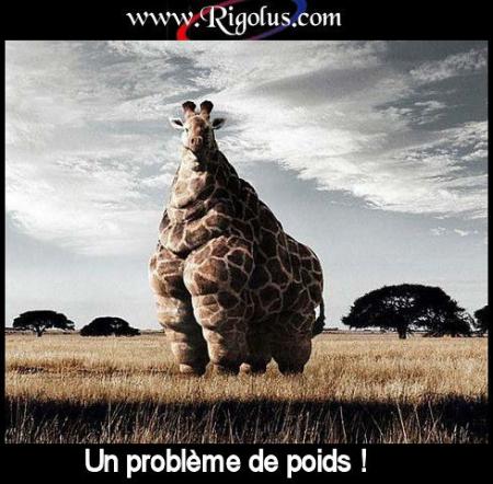 elle grosse